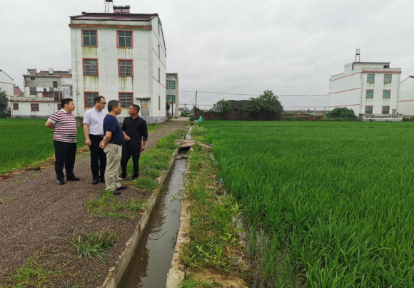 1590484256424164.png 1590484256424164.png