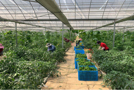 1590648481704817.png image.png