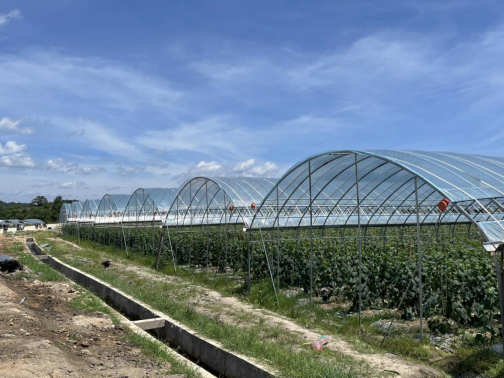 1658474636121392.png image.png